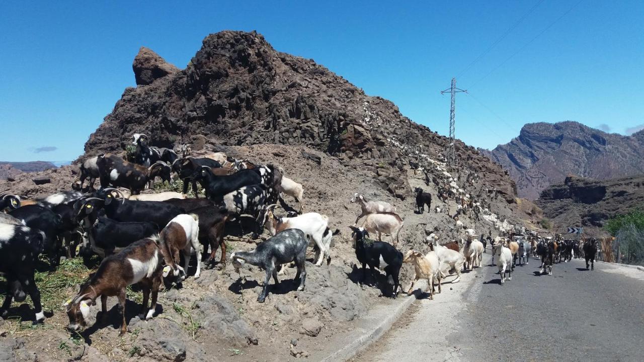 Casa Cueva Manuel Y Maria Villa El Juncal ภายนอก รูปภาพ